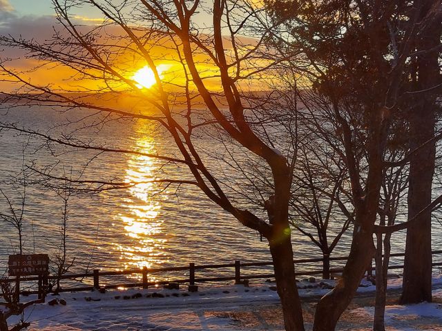 �t�����g���̂��납��x┌΂̗[��_�ۋ�򗷊�