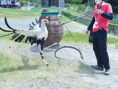 �|��Ԓ����̎ʐ^2