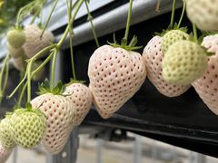 tadâEu[x[_@x[̋ւ̓eʐ^1