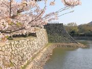 �Ƃ�����񂳂�̔���Վw�������^������̓��e�ʐ^1