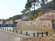 �Ƃ�����񂳂�̔���Վw�������̓��e�ʐ^1