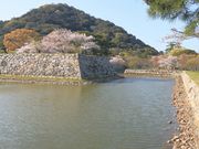 �Ƃ�����񂳂�̔���Վw�������̓��e�ʐ^2