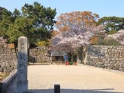 �Ƃ�����񂳂�̔���Վw�������̓��e�ʐ^3