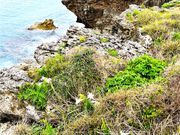 ÐhF̉iǕ̃Gu̓eʐ^1