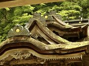 񂳂̎c__ЁE_Ђ̓eʐ^4