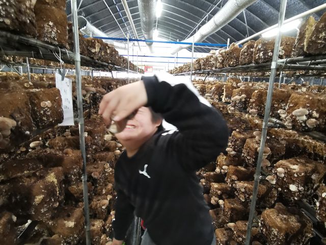 �q�����y���߂܂�_�����x�G�i�W�[�t�@�[���@���������Ƃ��������̐X