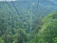 sako̐XgR@mXL[ւ̓eʐ^1