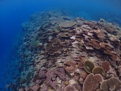 ҂񂷂̔C_Co[Yւ̓eʐ^1