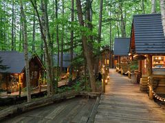 Ђ낵̃VbsO[hujOeXvւ̓eʐ^1