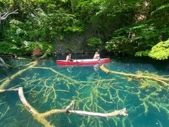 momõBgJ̓]ւ̓eʐ^1