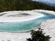 ͂܂肳̔hSAC̓eʐ^1