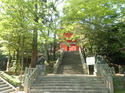 }Cann̒卑̋{Zg_ЎБp̓eʐ^1