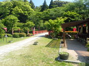 �}�C�a�n�n����̔ʎ᎛�i�R�����������j�̓��e�ʐ^1