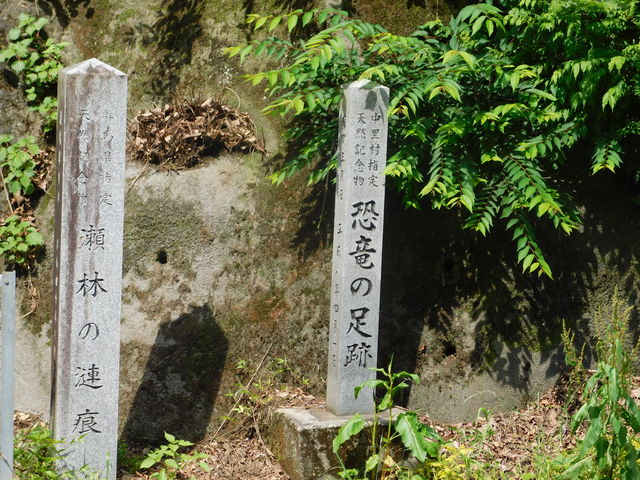 瀬林の漣痕(さざ波岩）恐竜の足跡】アクセス・営業時間・料金情報 - じゃらんnet