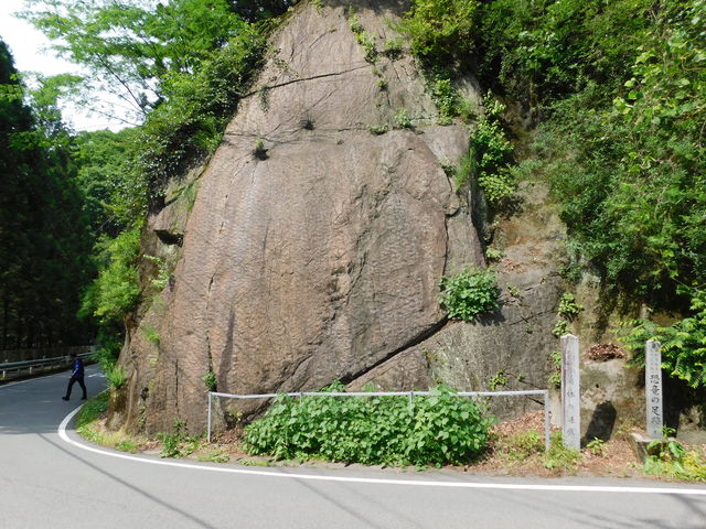 �S��_���т̗���(�����g��j�����̑���