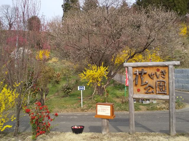 �u�Ԃ₵�������v_�Ԃ₵������