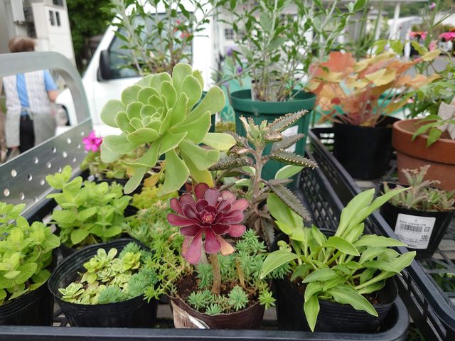 Rs@̉w AXgʂ܂_̉w AXgʂ܂