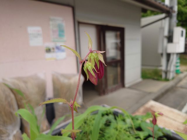 Rs@̉w AXgʂ܂_̉w AXgʂ܂