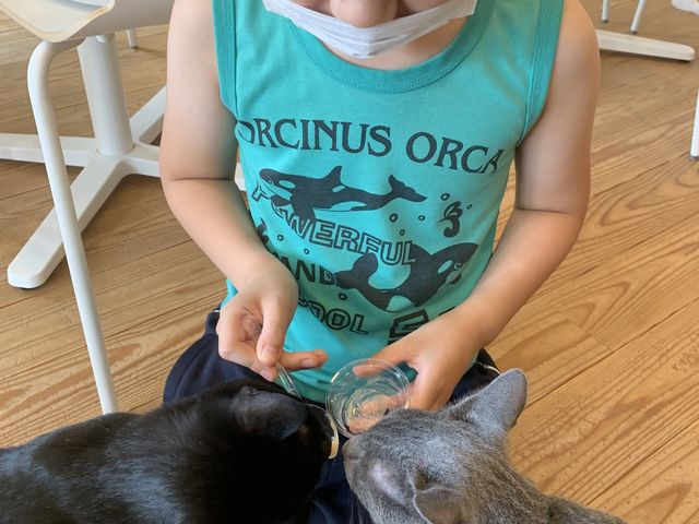 �L����񂨂�������Ă��鏊_�L�J�t�F�@����[�ɂ�