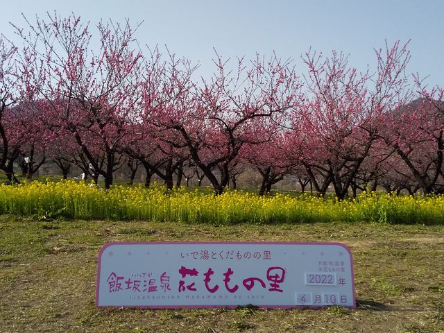 �u�Ԃ����̗��v_�э≷��Ԃ����̗�