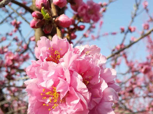 �Ԃ���_�э≷��Ԃ����̗�