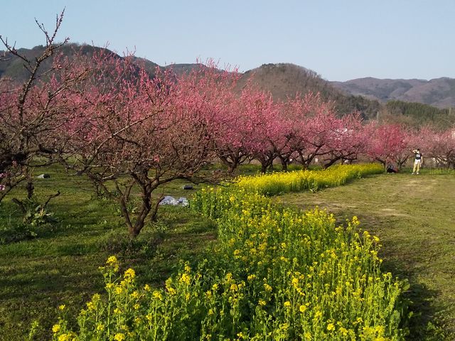 �Ԃ����B_�э≷��Ԃ����̗�