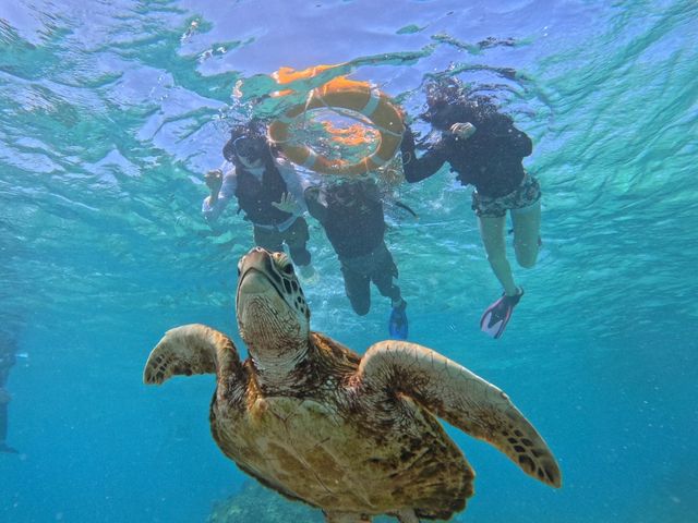 �E�~�K���ƈꏏ�ɎB��܂���_SEA ENJOY