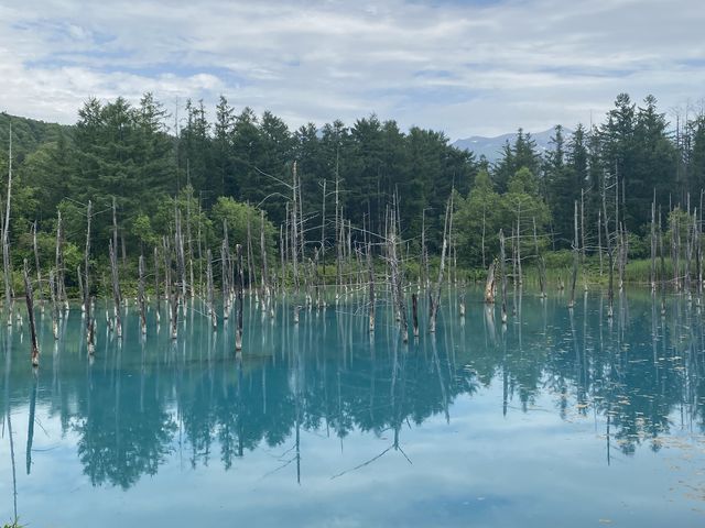 �O��̐��r�͂ƂĂ��Y��ł���_�D�y�ʉ^�N���u�Q�b�c