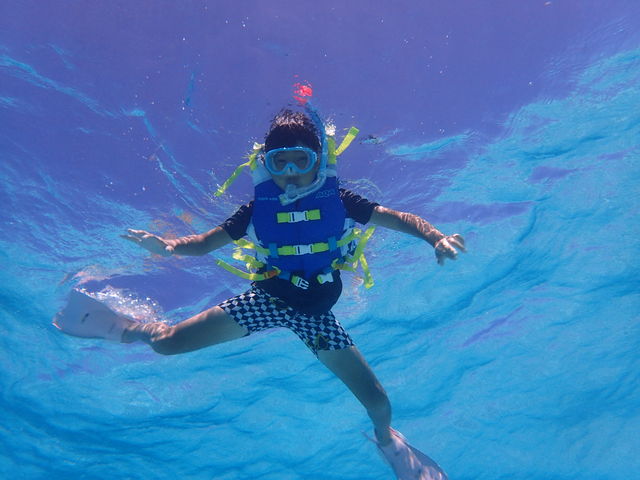 ���w�������S���Ċy���߂܂����I_Cheerful �{�Ó�