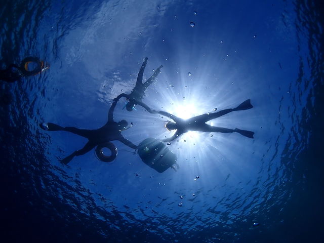 ���C�ɓ���̎ʐ^����������ł��܂����I_FAUSTO�Ί_��