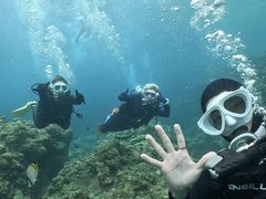 ݂Ȃ̐̓AJiT_CrOւ̓eʐ^1