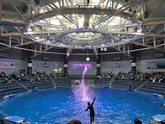 aaanes̃}NZ ANAp[Niւ̓eʐ^1