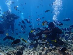 񂳂̐̓A@Dive@ւ̓eʐ^1