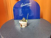 shakẽ[nC {X̓eʐ^2