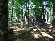 AB̐ف@s΍zRW̓eʐ^1