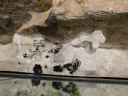 AB̐ف@s΍zRW̓eʐ^2