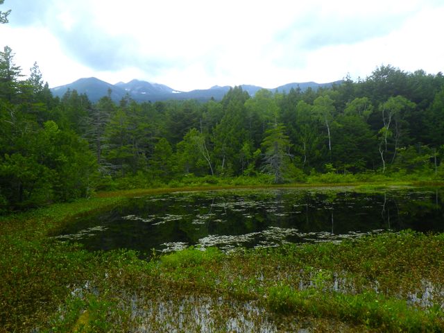 �}�[�`��������̏�ƍ����̓��e�ʐ^1