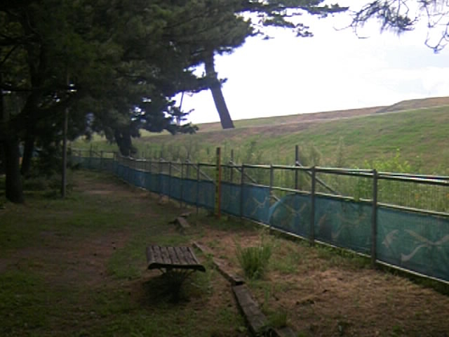 �H������_�����C������y�ߘa�T�N�x��J�݁z