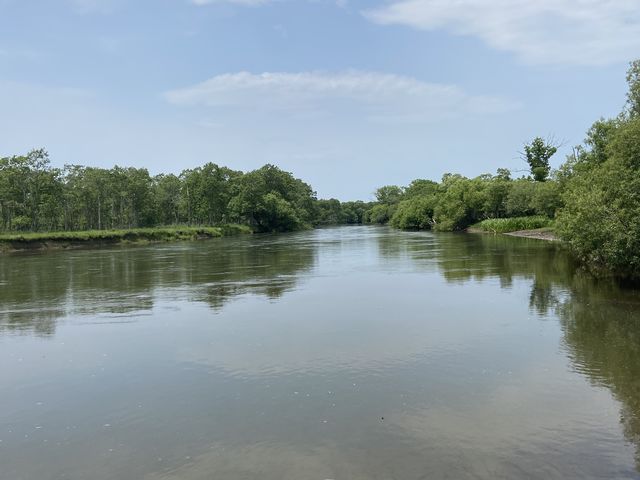 VCɂb܂ÂȋH𖞋ił܂I_RmA[n