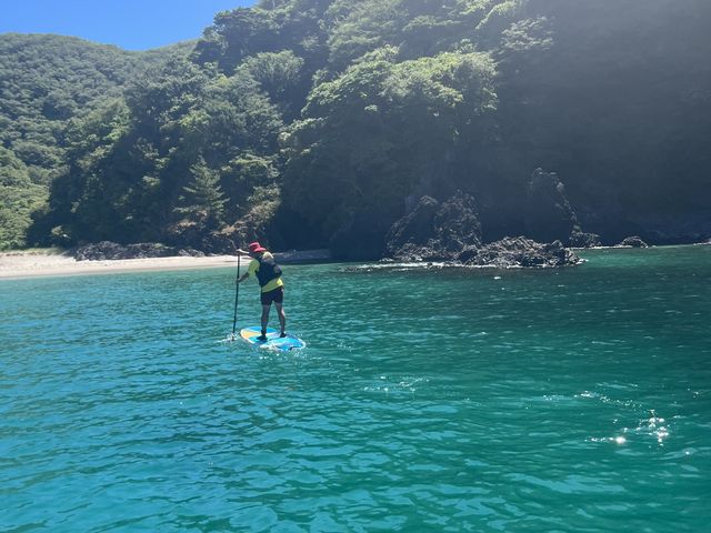 #����u���[_�W�Isen.s