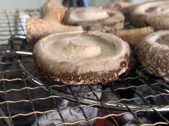 ݁[̎c񂿂̒őւ̓eʐ^1