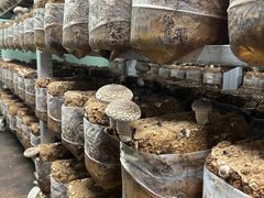 ݁[̎c񂿂̒őւ̓eʐ^2