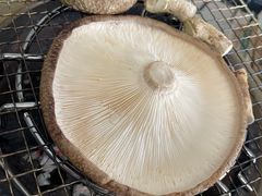 ݁[̎c񂿂̒őւ̓eʐ^4