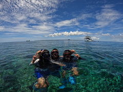 ܂܂̉AChN[ւ̓eʐ^1