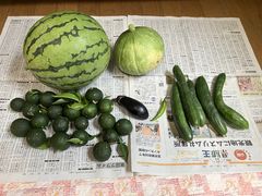 قƂ̃R~jP[Vt@Ng[ւ̓eʐ^1