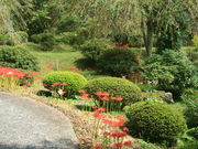 CCꃉC_[̓쌴̓eʐ^4