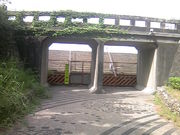 Tv̓CyߘaTNxJ݁z̓eʐ^4