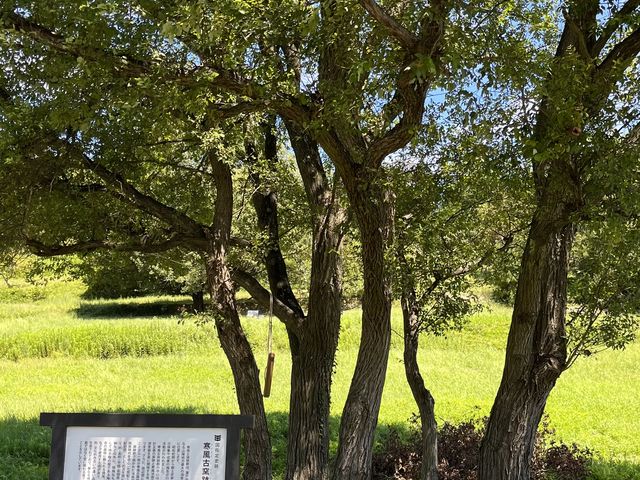 �i�ς����Q_�������|���