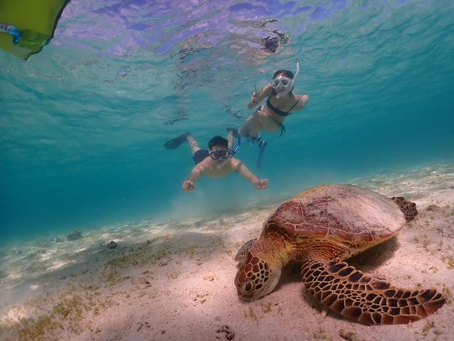 �C���X�g���N�^�[���񂪎B���Ă��ꂽ�ʐ^�ł�(^^)_�V���m�[�P���c�A�[�@��`��