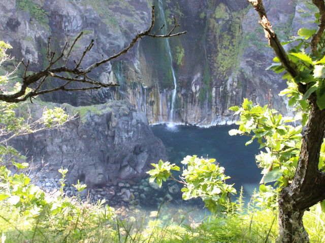 �J��܂ł��ꂢ�Ɍ����܂���_�s�b�L�I�@�m��